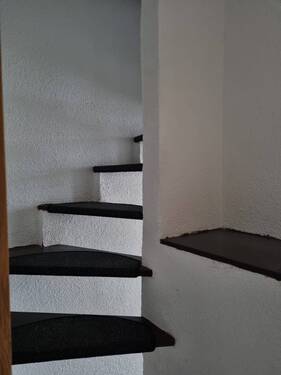 PHOTO-2022-12-15-14-43-47 4.jpg - 