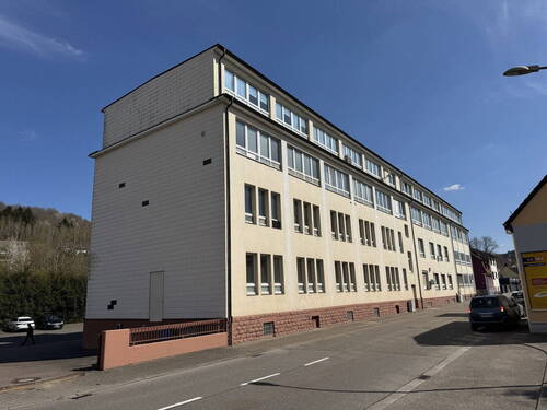 Bild 3 - Halle in Waldfischbach-Burgalben