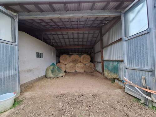 20250924_144847.jpg - 