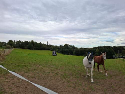 20250924_155300.jpg - 