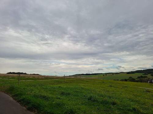 20250924_155001.jpg - 