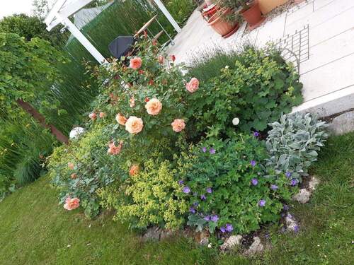 Beet an der Terrasse - 