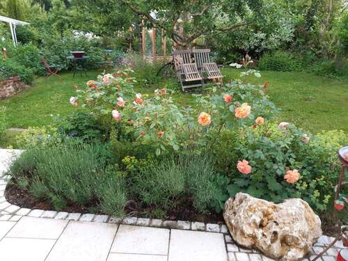 Blick Richtung Apfelbaum - 