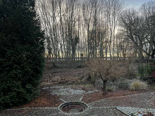 Blick Richtung Bodden in der Abendsonne - 