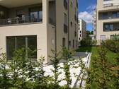 Hecke als Sichtschutz - 3 Zimmer Etagenwohnung zur Miete in Frankfurt (Main) - Rödelheim