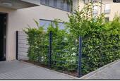 Eingang - 3 Zimmer Etagenwohnung in Frankfurt (Main) - Rödelheim