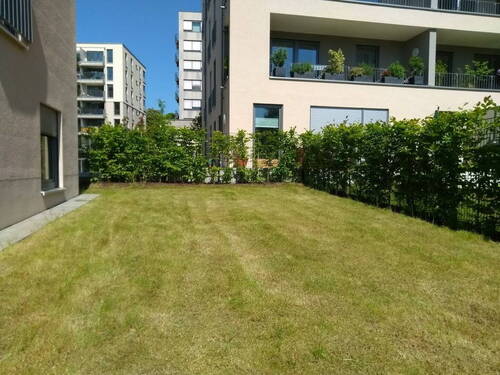 Garten - 