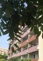 13 (3) - 3-Raum-Wohnung mit Balkon ab sofort verfügbar