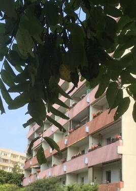 13 (3) - 3-Raum-Wohnung mit Balkon ab sofort verfügbar