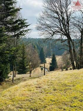Aussicht - 