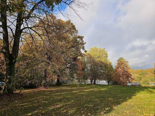 20251030_144711.jpg - 