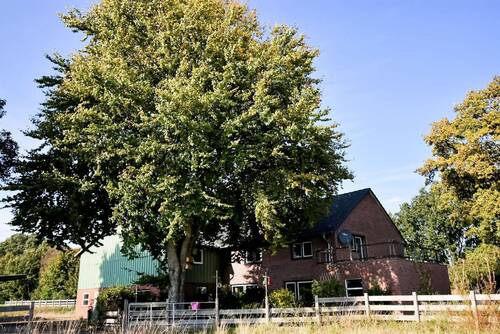 Ansicht - 6 Zimmer Mehrfamilienhaus, Wohnhaus zum Kaufen in Eggstedt