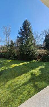 Blick in den Garten.jpg - 