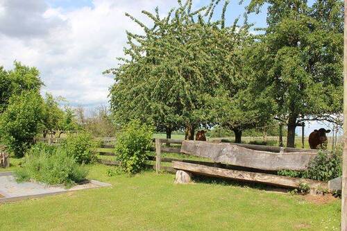 Obstanbauflächen / Weideflächen - 