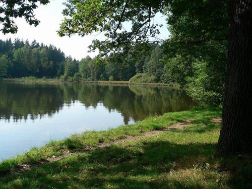 15min Fussweg zum Teich - 1 Zimmer Mehrfamilienhaus, Wohnhaus in Zwönitz