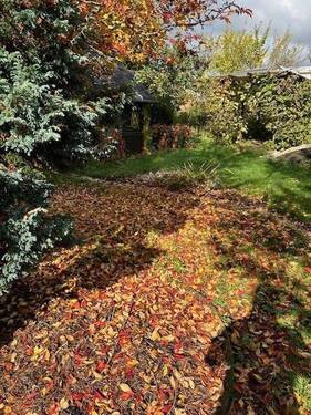 Garten - 