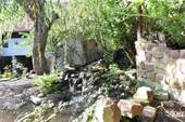 Teich - 