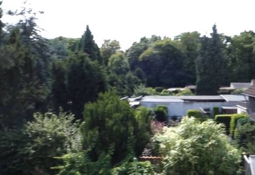 Ausblick nach hinten - 