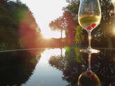 Bild 17 - 