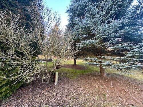 großes Grundstück - 