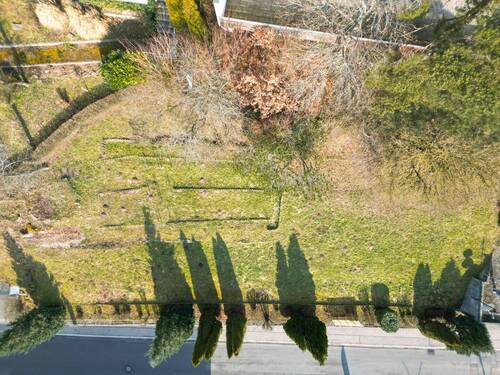 Drohnenansicht oben - Grundstück zum Kaufen in Altensteig