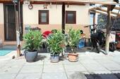 Weitere geschützte Terrasse - 
