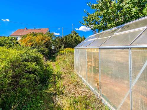 Gartenweg und Gewächshaus - 