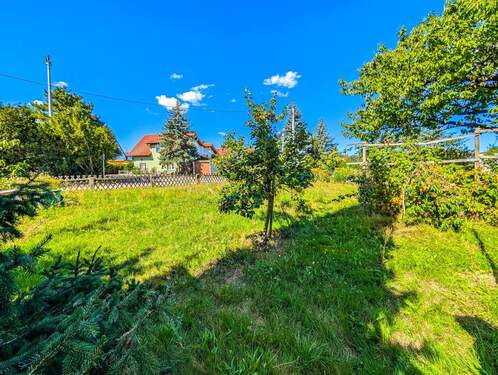 Grüne Oase vor dem Haus - 