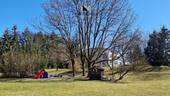 Spielplatz - 