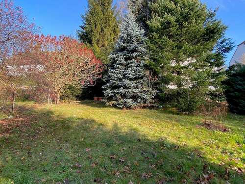 Grundstück - Grundstück zum Kaufen in Mechelgrün