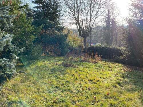 Grundstück - Grundstück in Mechelgrün