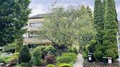 Hausansicht mit Vorgarten - 