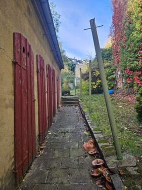 20241018_095954.jpg - 