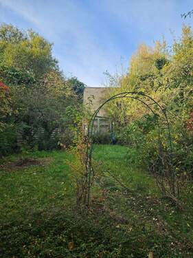 20241018_100011.jpg - 