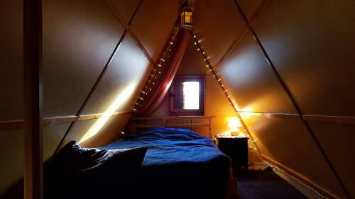 WhatsApp Image 2024-02-01 at 11.48.09.jpeg - 