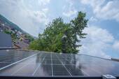 PV-Module - 