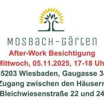 Aktion! - inklusive Einbauküche | pures Wohnvergnügen mit 4 Zimmern, Küche, 2 Bädern und Sonnenbalkon - Wiesbaden Biebrich