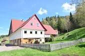 Hausansicht - 1 Zimmer Mehrfamilienhaus, Wohnhaus zum Kaufen in Alpirsbach