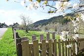 Bauerngarten - 