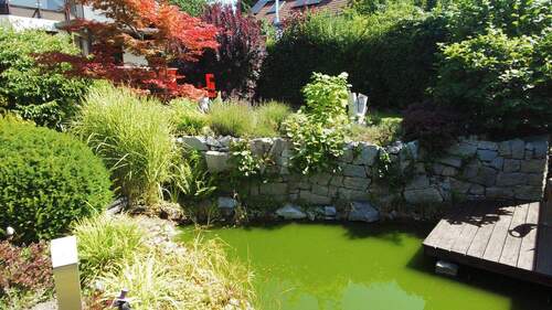Gartenteich - 