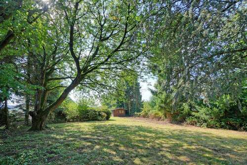 Blick in den Garten - 