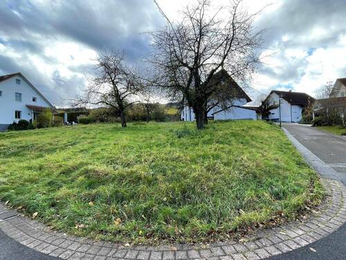 Grundstück - Grundstück in Durbach