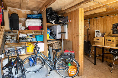 Schuppen - 