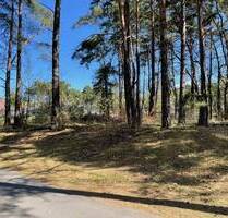 Ihr Traum vom Haus am See in Bad Saarow-Strand - Baugrundstück in Seenähe.