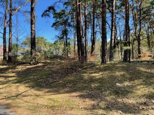 Grundstück - Grundstück zum Kaufen in Bad Saarow