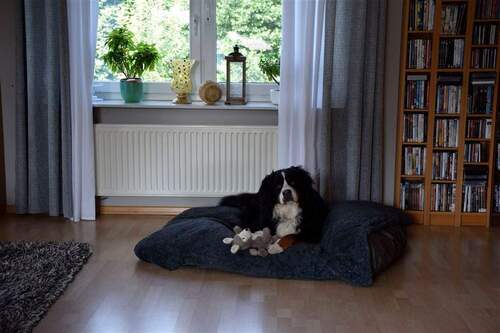 Hier fühlt sich jeder wohl - 