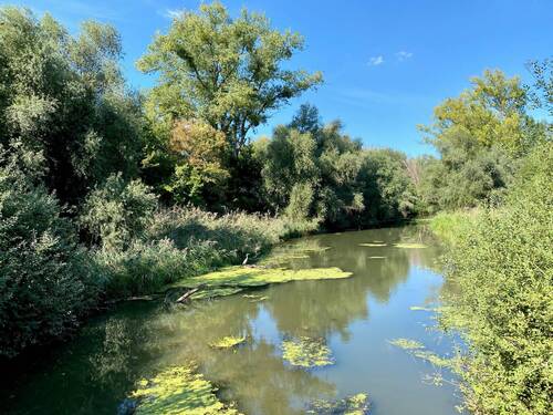 Natur - 