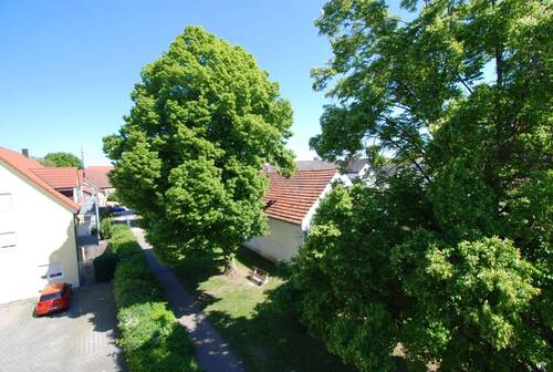 Ausblick - 