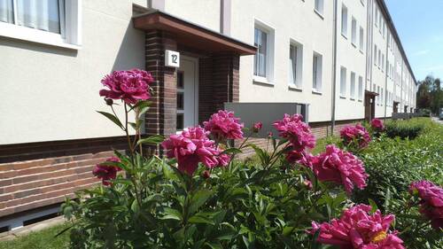 Bild 1 - 2-Raum Wohnung Stadtfeld West - 470,00&nbsp;EUR Kaltmiete, ca.&nbsp; 62,00&nbsp;m&sup2;&nbsp;Wohnfl&auml;che