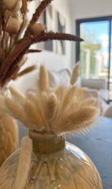 Bild 4 - Bungalow mit 63,00 m&sup2; in San Fulgencio zum Kaufen